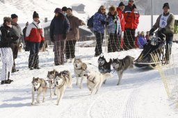 Lenk 2012 SM